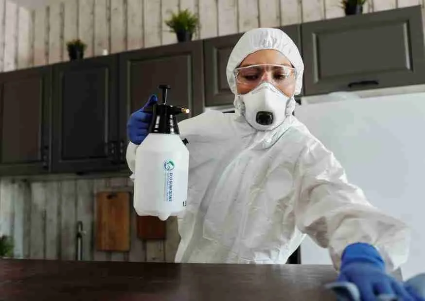 Best Pest control Company in Dubai