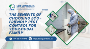 Pest Control Services Dubai