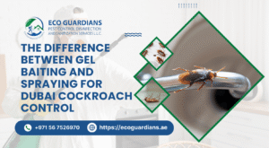 Cockroach Exterminator Near You in Dubai