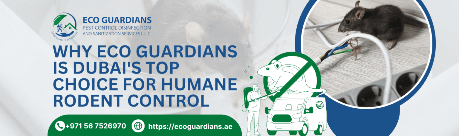Humane Control Why Eco Guardians is Dubai's Top Choice for Humane Rodent Control | ECO ...