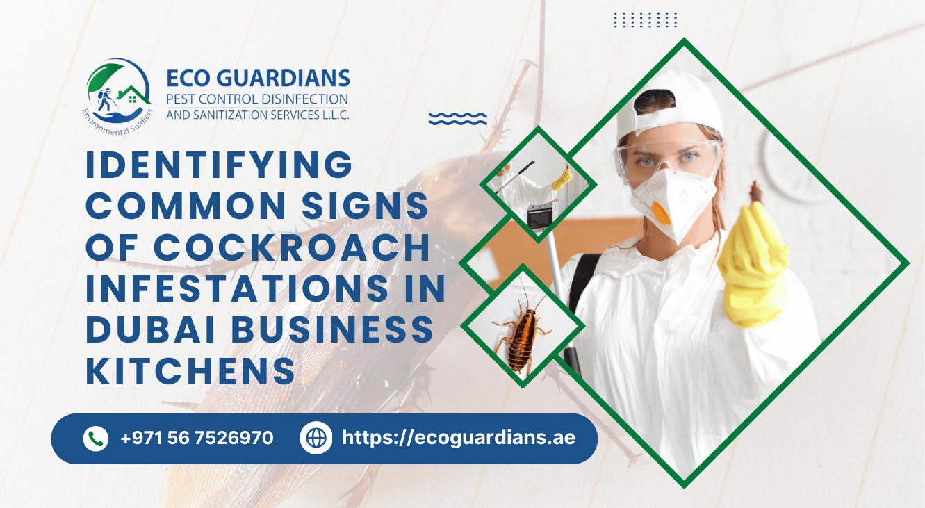 Cockroach Exterminator Dubai