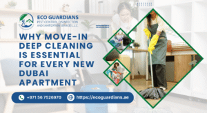 Apartment Cleaning Services in Dubai