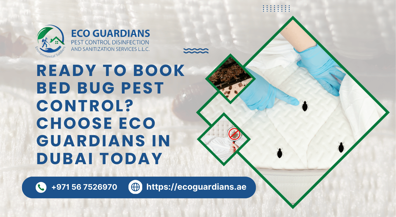Bed Bug Pest Control Near You in Dubai