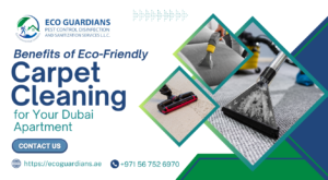 Benefits of Eco-Friendly Carpet Cleaning for Your Dubai Apartment