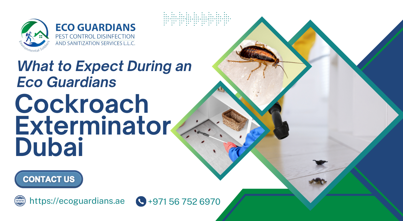 What to Expect During an Eco Guardians Cockroach Exterminator Dubai