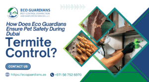 How Does Eco Guardians Ensure Pet Safety During Dubai Termite Control?