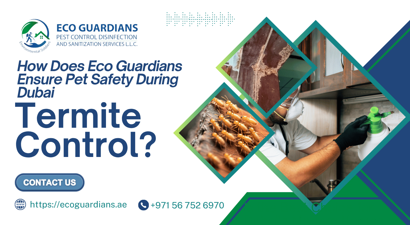 How Does Eco Guardians Ensure Pet Safety During Dubai Termite Control?