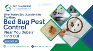 What Makes Eco Guardians the Top Rated Bed Bug Pest Control Near You Dubai? Find Out
