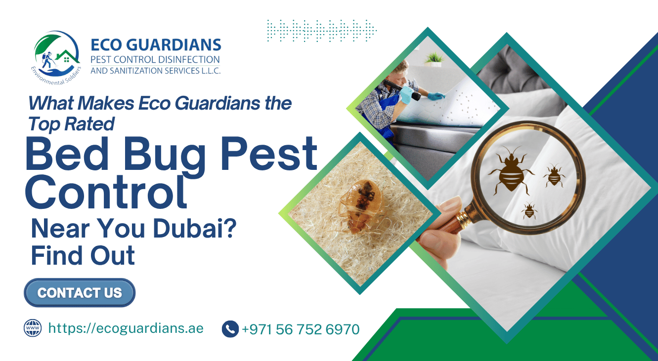 What Makes Eco Guardians the Top Rated Bed Bug Pest Control Near You Dubai? Find Out
