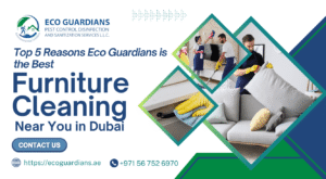 Top 5 Reasons Eco Guardians is the Best Furniture Cleaning Near You in Dubai