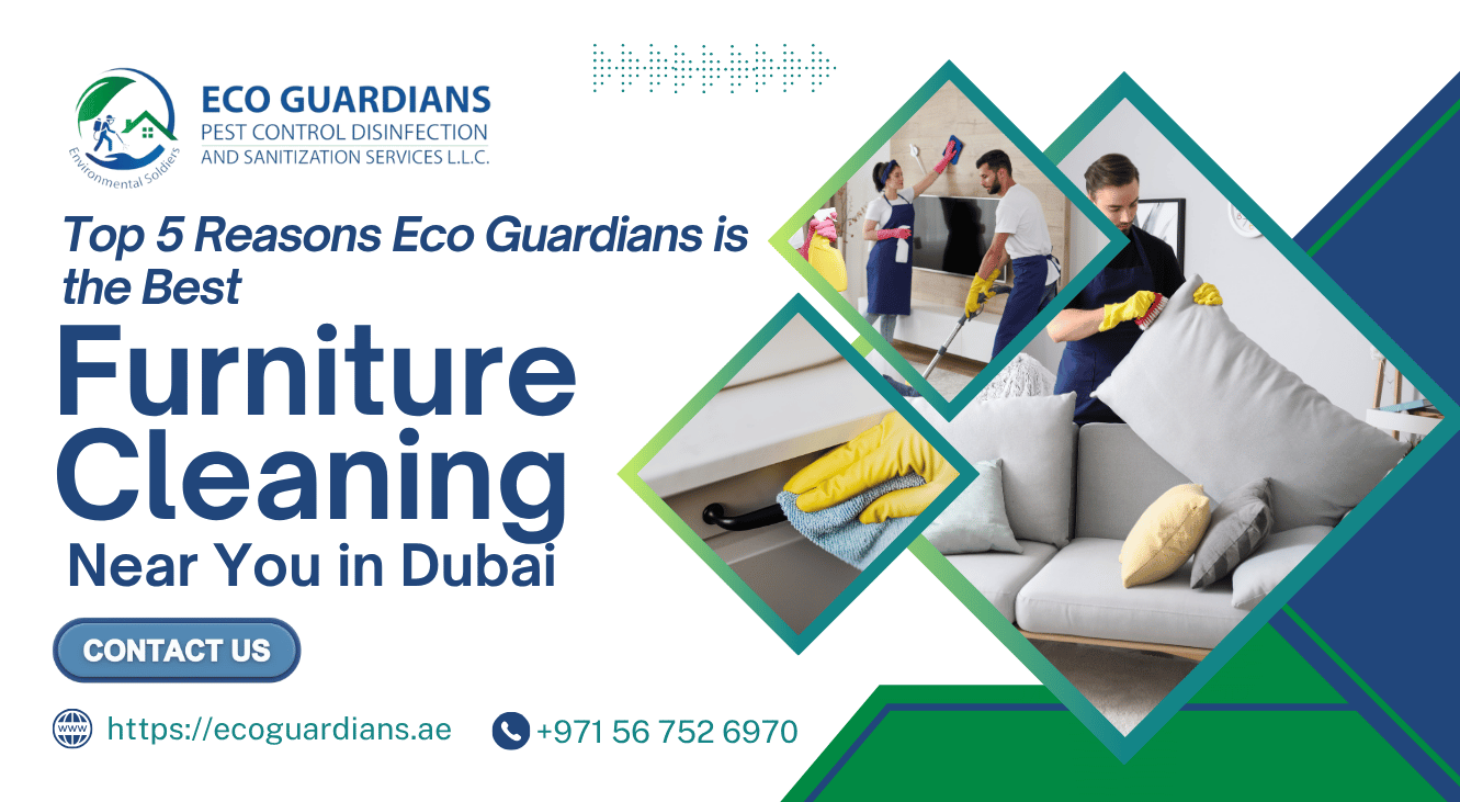 Top 5 Reasons Eco Guardians is the Best Furniture Cleaning Near You in Dubai