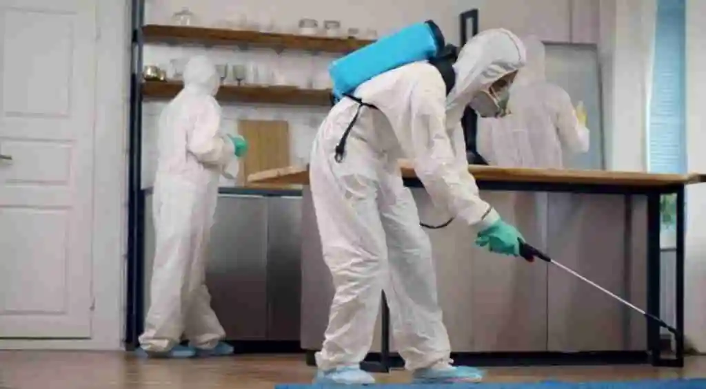 Pest Control Service In Al Qasimia Sharjah